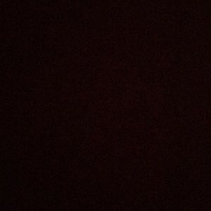 Meet your Posher, Latoya